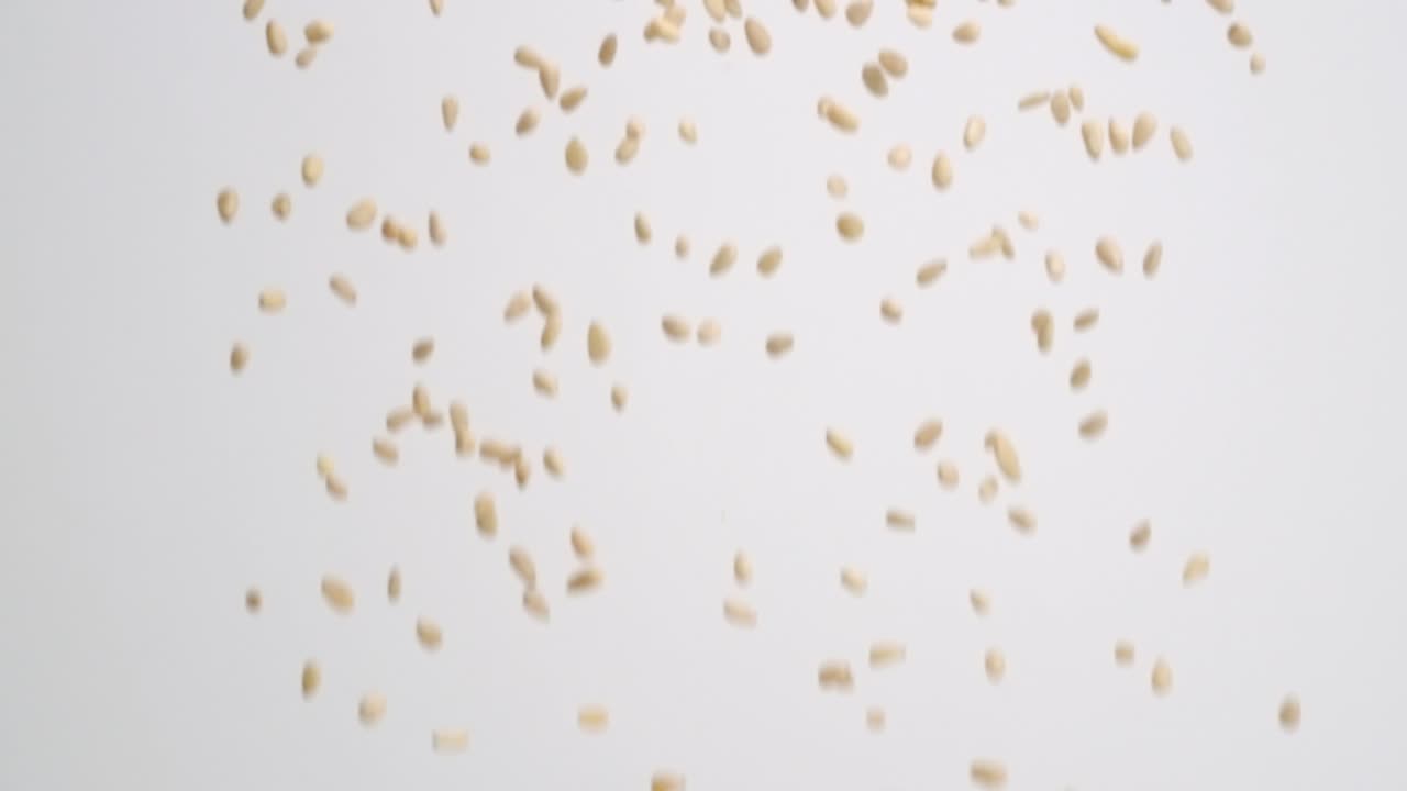 슬로우 모션으로 흰색 배경에 비가 내리는 작은 잣