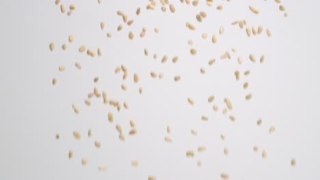 small pine nuts raining down on white backdrop in slow motion