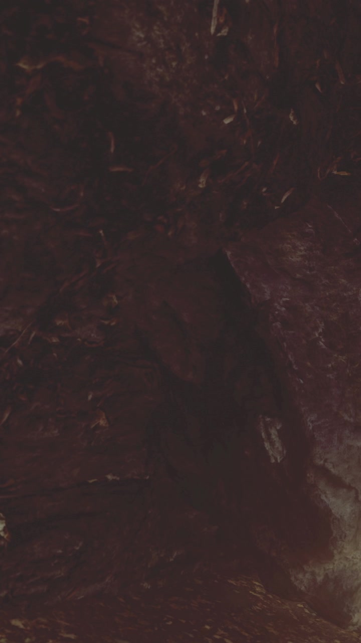 Exploring the depths of natural textures within a secretive cave space