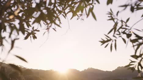 mid shot of landscape as sun sets over the horizon