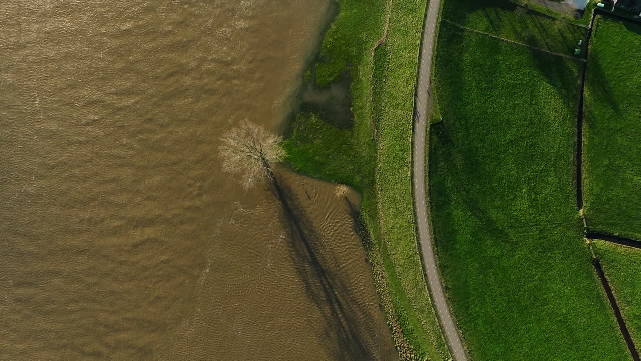 북유럽을 강우로 강타한 레크 강이 강변을 침수한 나무의 공중에서 내려다보는 새의 시야