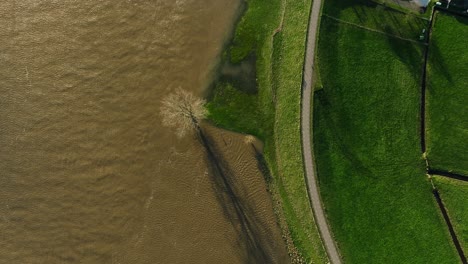 vista aérea de un árbol inundado por el río lek después de que invadiera sus orillas después de las fuertes lluvias que golpearon el norte de europa