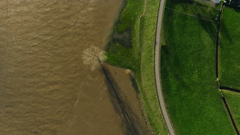 aerial rising birdseye view of a tree flooded by the lek river after it overran its banks after heavy rains hit northern europe