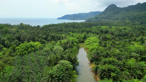 Aerial-view-over-the-river-Caue,a-river-in-the-middle-of-the-forest-in-the-south-of-São-Tome,-and-flows-into-Praia-Grande-at-São-Tomé,Africa