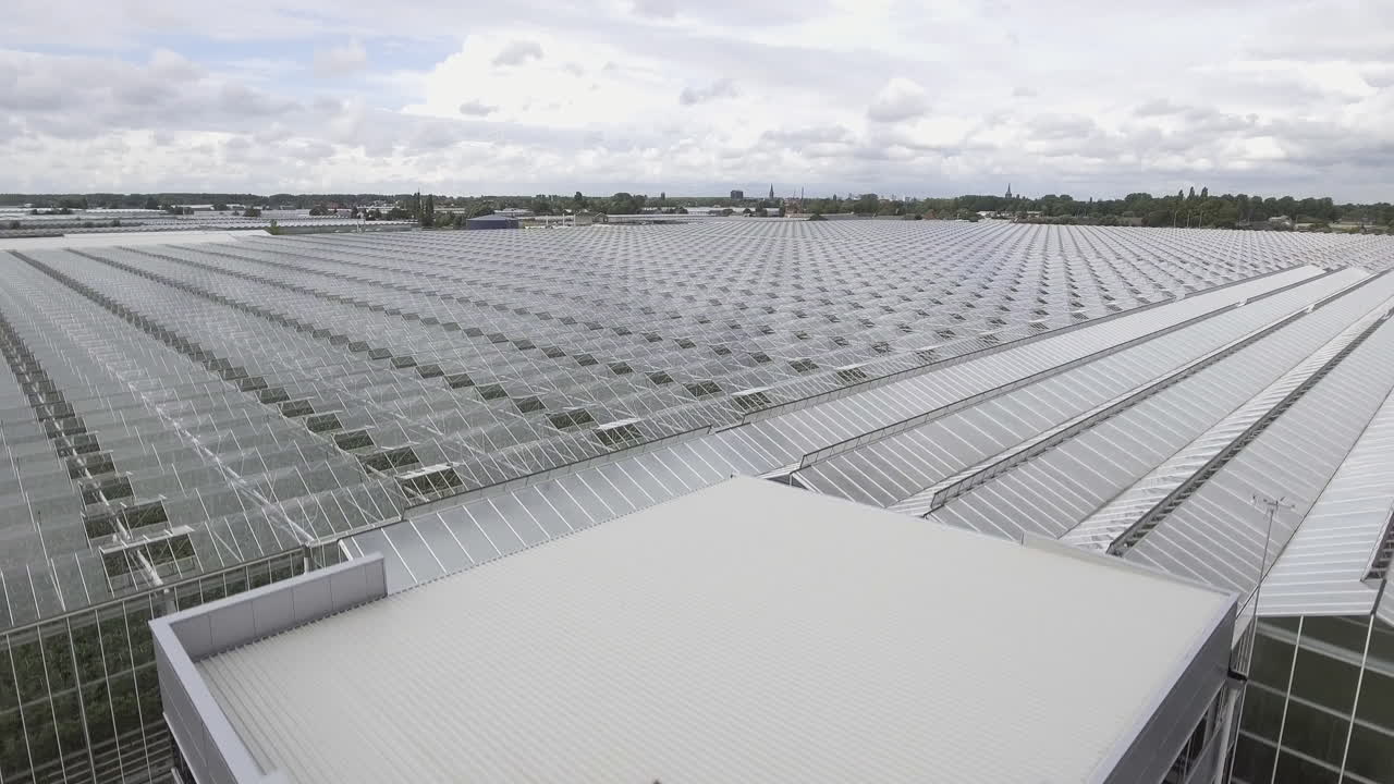 Glass Greenhouses in The Netherlands, Drone Rise Shot 4K