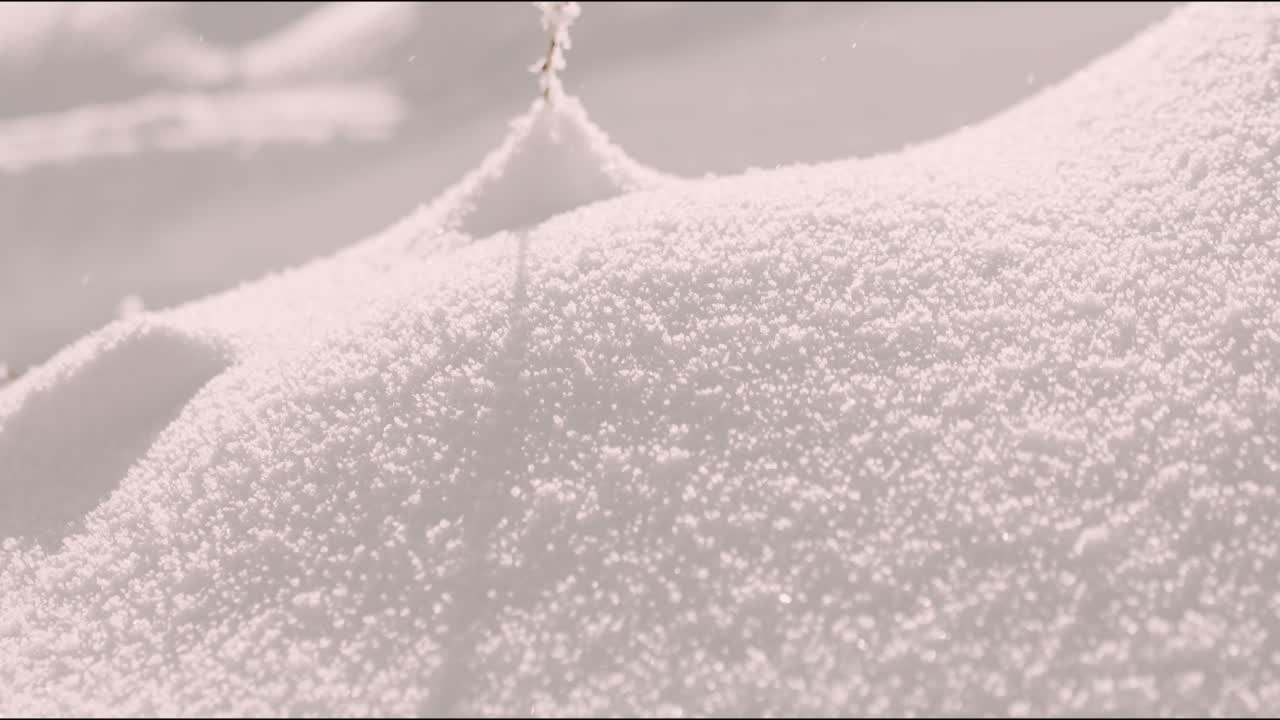 눈과 떨어지는 눈의 세부 사항