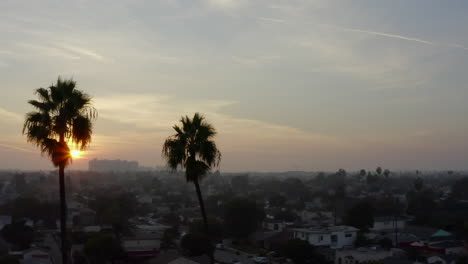 AERIAL:-Close-Up-of-two-palm-trees-in-Sunlight,Sun-Flair-in-Venice,-California-,-Sunset,