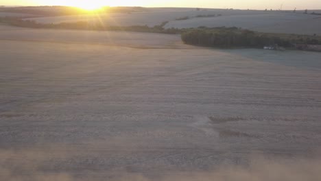 Harvesters-harvesting-soybeans-in-Brazil