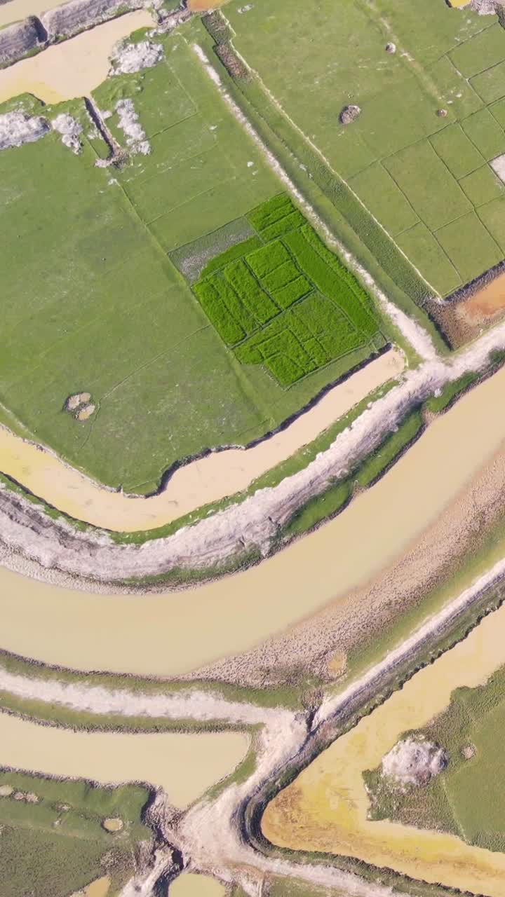 Aerial: Murky Water channel through fertile agricultural land. Geographical texture - top down view