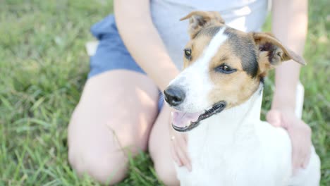 woman with her dog on the grass