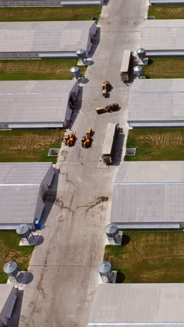 top view on the roofs of modern buildings for poultry. contemporary area for farming outdoors. aerial view of two rows of long farm barns in the countryside. vertical video