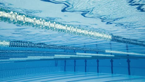 olympic swimming pool under water background.