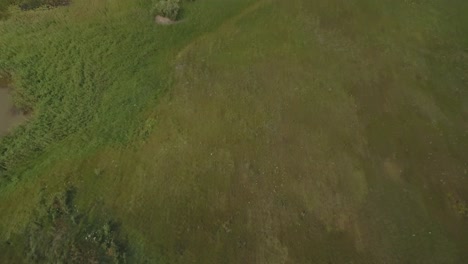 vista aérea de un campo verde y un pantano