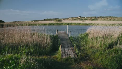 dramatic approach wooden jetty windy conditions in european nature reserve