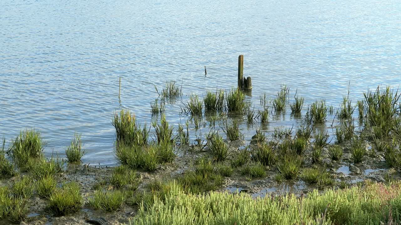 Static view of lake with rocky outcrops at the water's edge