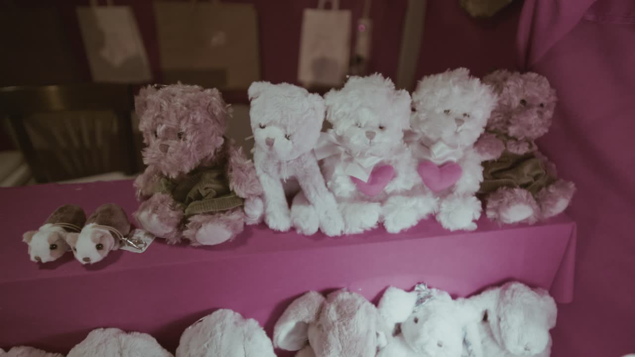Orsetti di peluche e piccoli animali di peluche sono disposti in fila su un espositore da bancarella di mercato rivestito in tessuto