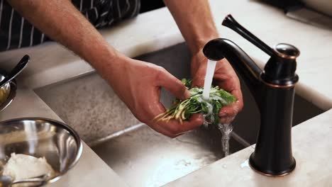 chef washing coriander in a kitchen sink