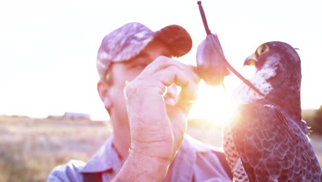 man training a falcon eagle