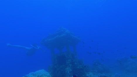 buceador nadando alrededor del antiguo santuario colocado bajo el mar, bali, indonesia