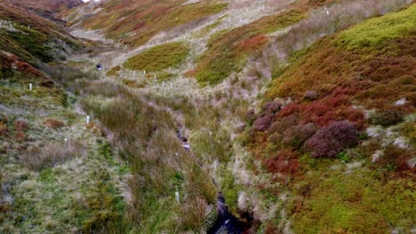 fast-backwards-ascent-from-a-small-stream-,-then-showing-a-lush-green-valley