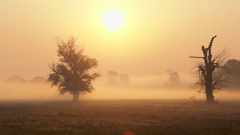 Shot-of-morning-mist-over-open-field-at-sunrise