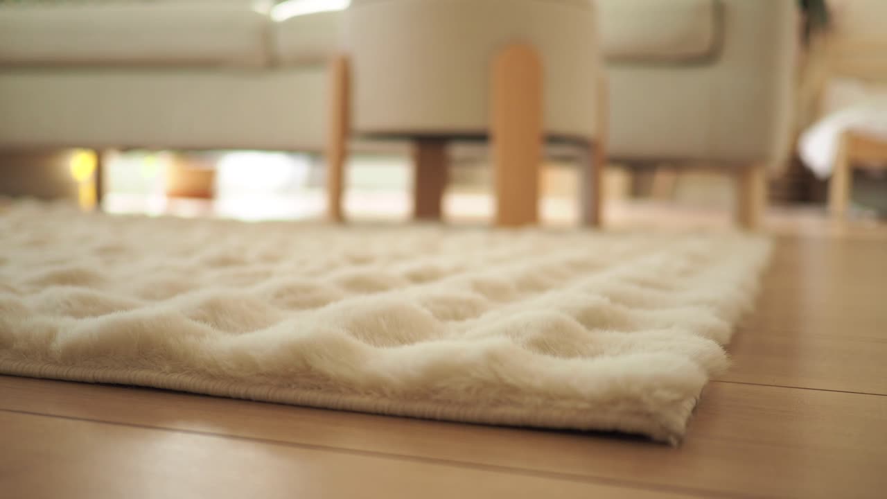 Cozy Interior with a Soft Rug