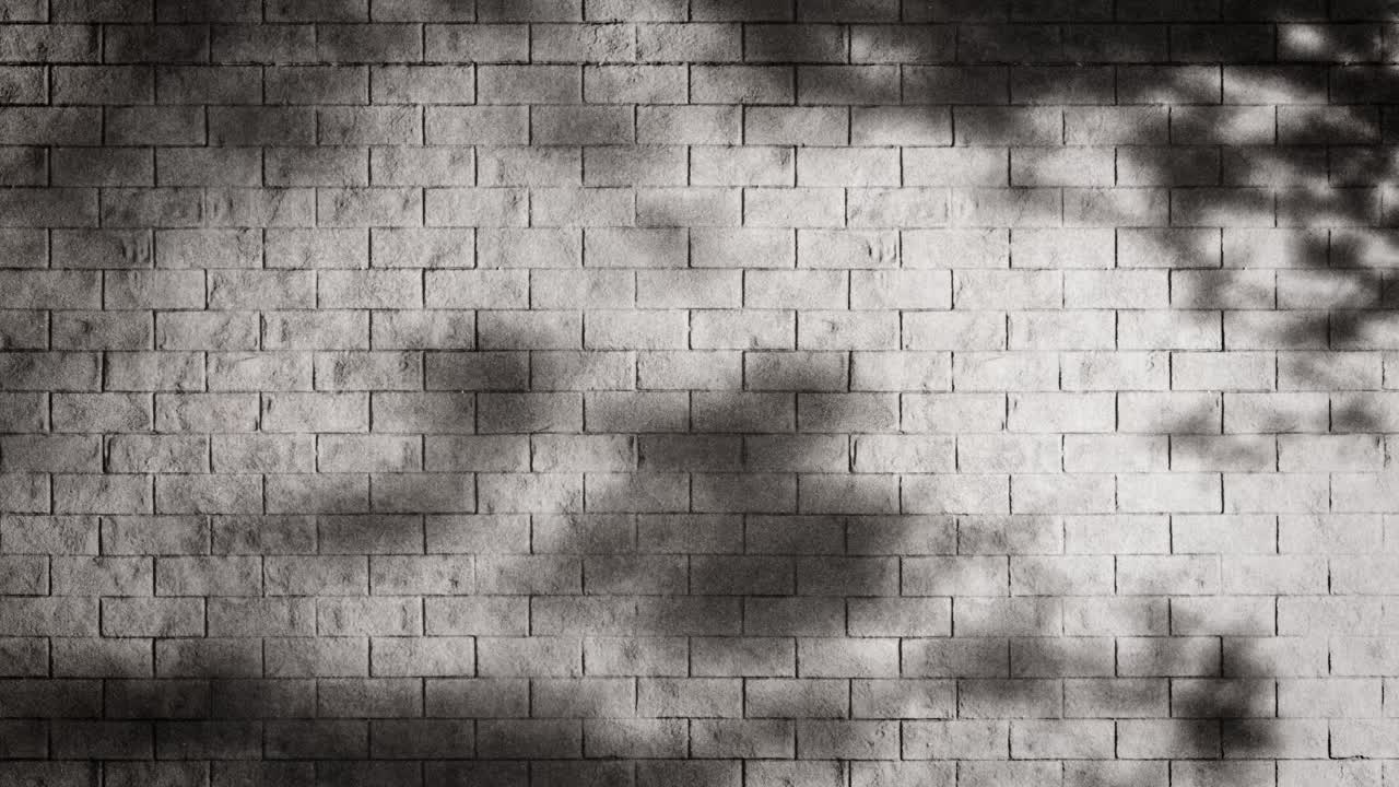Moving Shadows of Leaves on a Gray Brick Wall