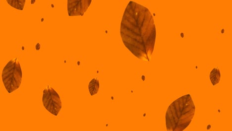 animation of leaves falling over orange background