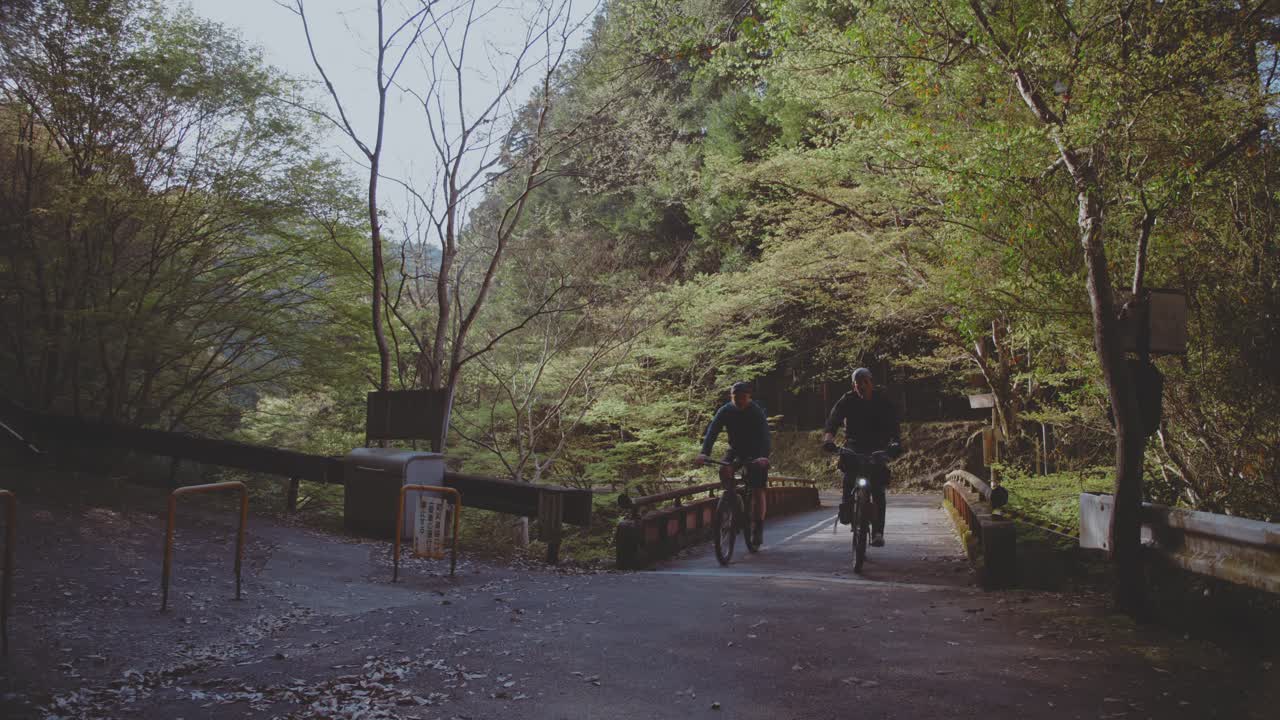 Two cyclists make their way across a picturesque bridge in a tranquil park in Takaosan, Japan. The setting features lush greenery and a serene atmosphere, perfect for outdoor activities.
