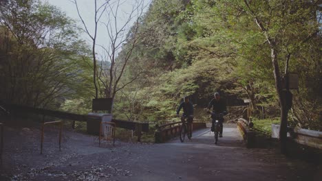 two cyclists make their way across a picturesque bridge in a tranquil park in takaosan, japan. the setting features lush greenery and a serene atmosphere, perfect for outdoor activities.