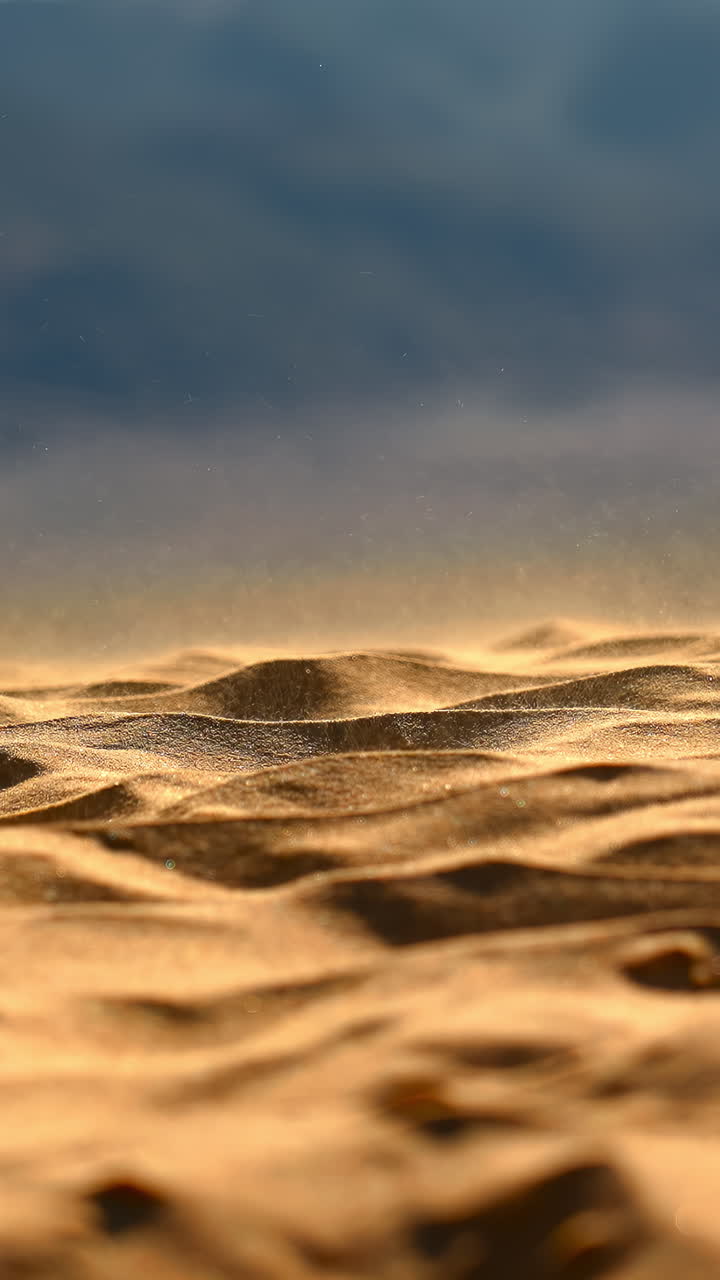 Dune di sabbia illuminate dal sole con ombre nette, creste scolpite dal vento e arbusti sparsi sotto una calda luce dorata. Ottimo. Creativo.