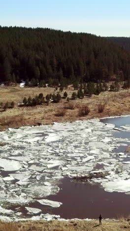 spring thaw at the edge of the forest