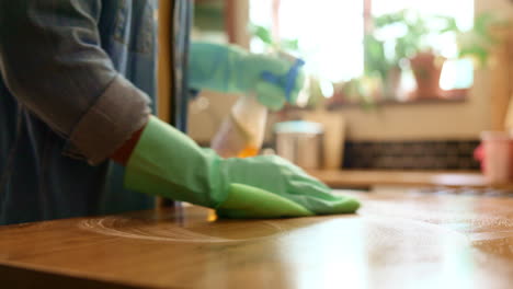 a woman cleans a kitchen countertop with a spray bottle and a rag.