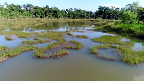 aerial shot of backwater river in argentina jungle