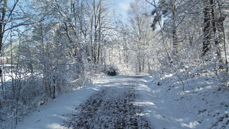 Aerial-Flyover-Of-Forest-Hiking-Trail-Covered-With-Snow-During-Winter