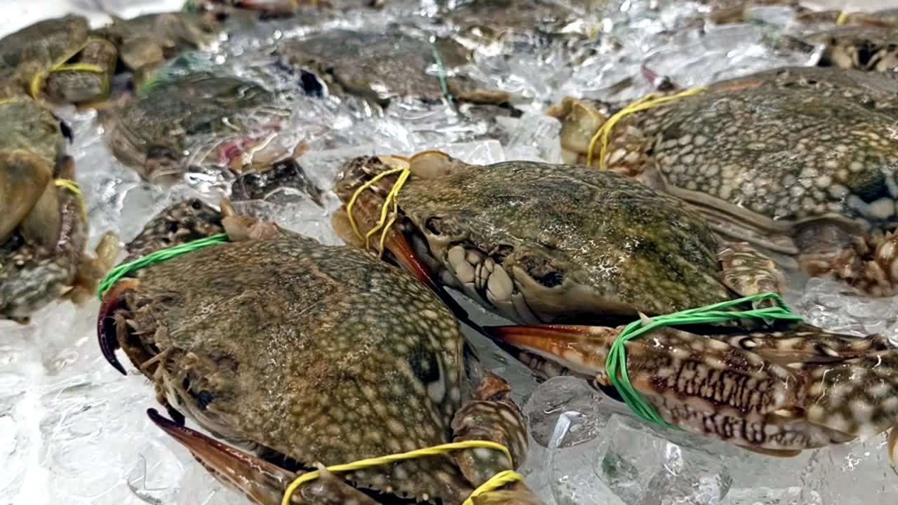 Live crabs displayed for sale with their legs and claws tied to prevent escape. Placed on ice to maintain freshness and quality.