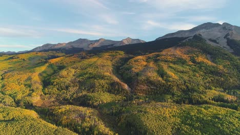 aspens turning on kebler pass, colorado