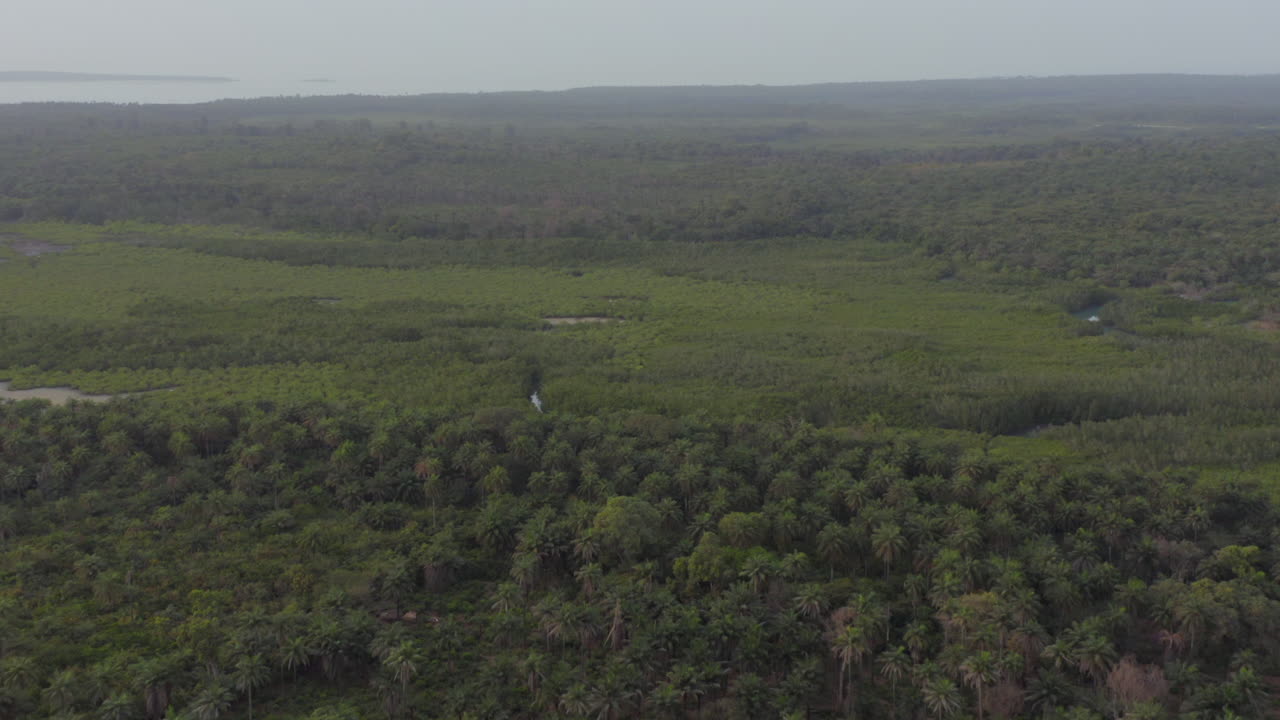 Aerial view of Guinea-Bissau mangrove forests and river delta