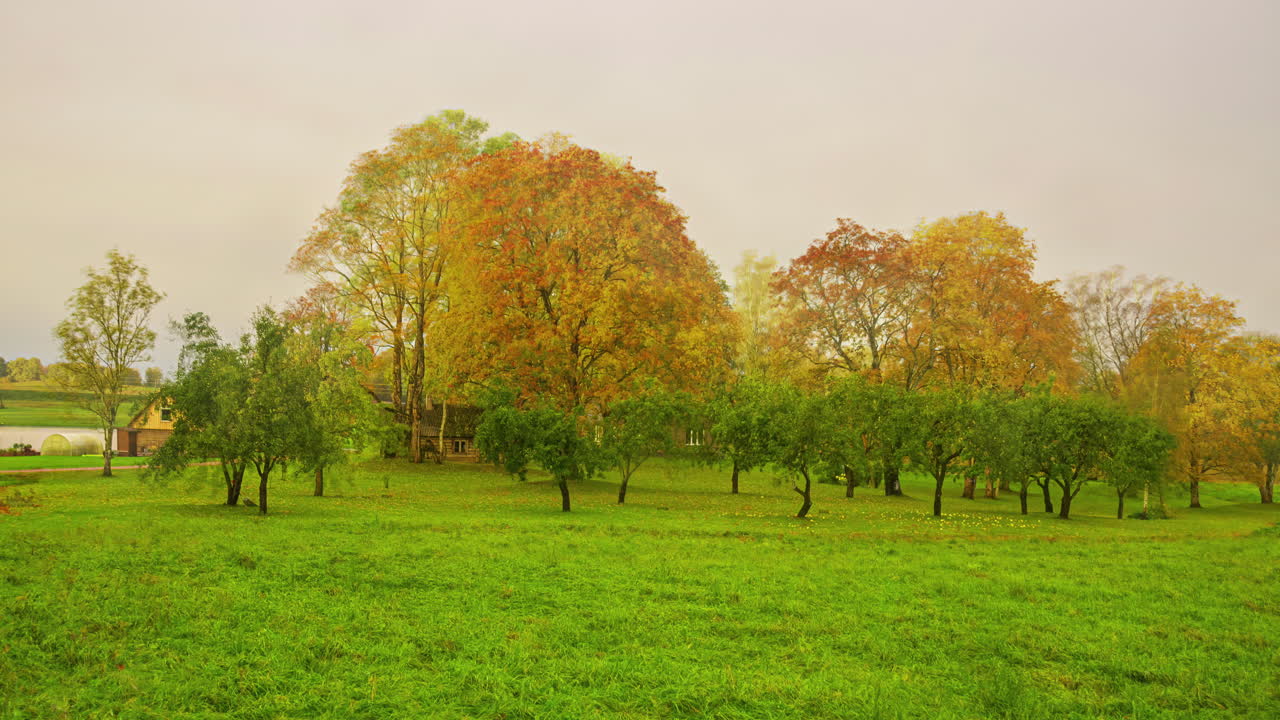 lapso de tiempo de la casa de campo, árboles de jardín a lo largo de la temporada de otoño al invierno