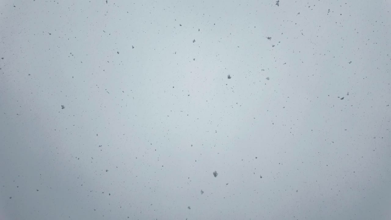 Snowflakes gently falling from a gray sky, creating a calm and serene winter scene with minimal contrast. Perfect for seasonal or weather-related themes.
