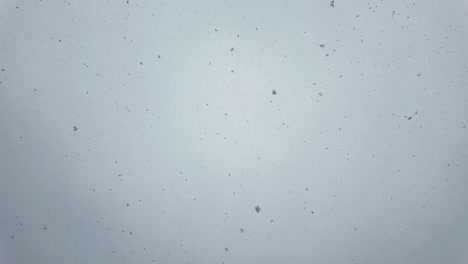 snowflakes gently falling from a gray sky, creating a calm and serene winter scene with minimal contrast. perfect for seasonal or weather-related themes.