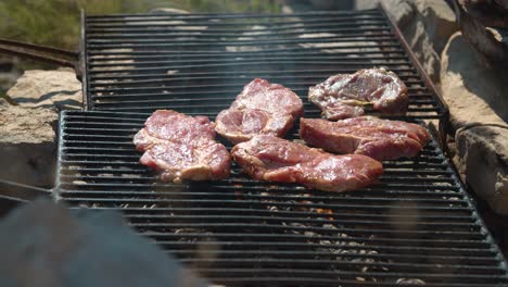 新鮮的肉類