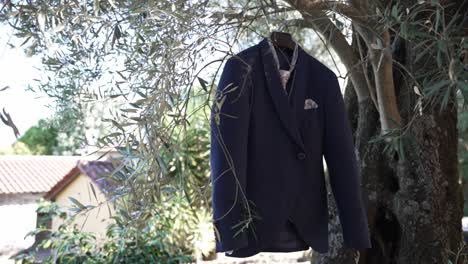 blazer azul marino con bolsillo cuadrado colgado en una rama de olivo, puesta al aire libre a la luz del sol
