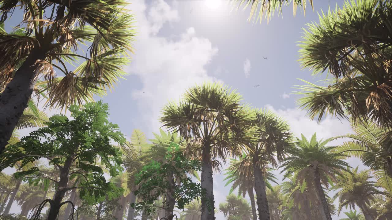 Blue sky with sun rays and clouds, and tall palm trees, and seagulls flying around natural environment 3D animation