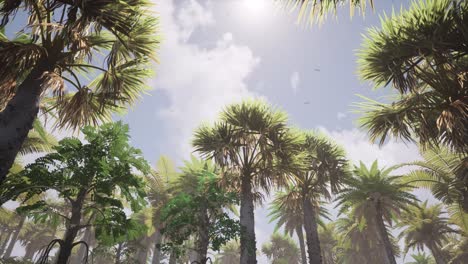 blue sky with sun rays and clouds, and tall palm trees, and seagulls flying around natural environment 3d animation