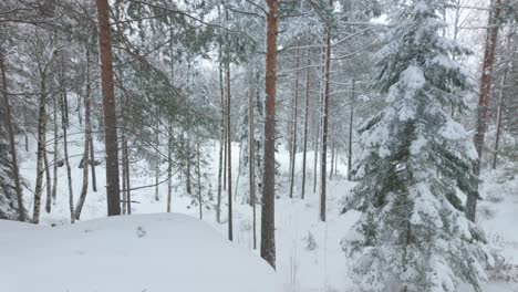 View-Of-Woman-Cross-Country-Skiing-Through-The-Woods---Panning-Shot