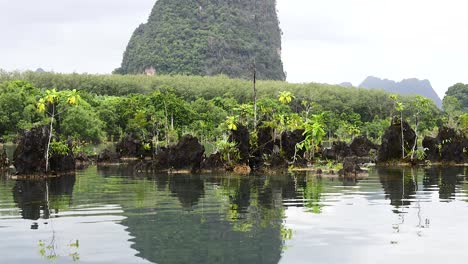 clear water canal with lush greenery and mountains