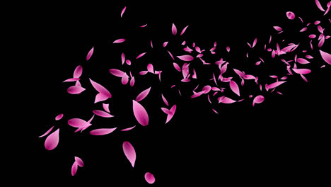 pink petals falling