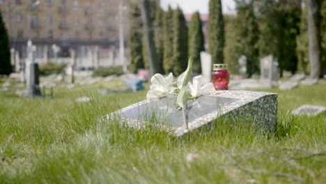 tombstone with a white flower and a grave candle in a graveyard on a sunny day