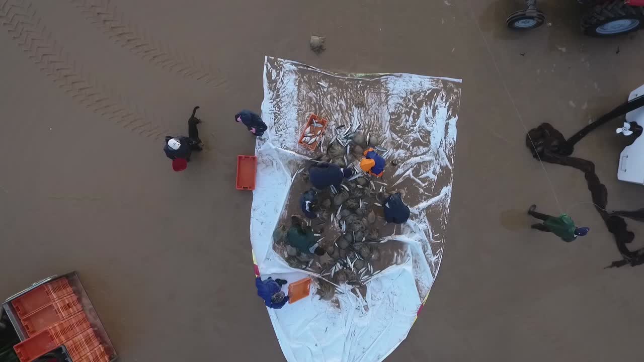 Vista aerea dall'alto che mostra un gruppo di pescatori tradizionali portoghesi mentre raccolgono il pescato del giorno.